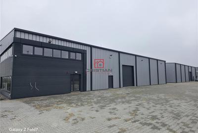 Spațiu comercial, de 6,000 mp, în Mogoșoaia - 1