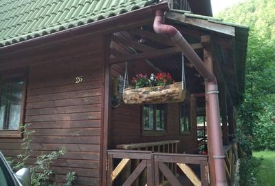 Cabana de vanzare, Valea Ierii, 4 camere, 500 mp teren - 5