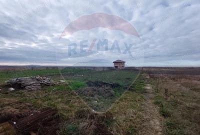 Casă cu Teren 1079 Mp în Petroasa Mare - 16