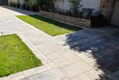 Casă cu 4 camere cu Teren 1101 Mp în Becicherecu Mic - 3