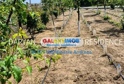 Spațiu comercial, în Poienarii Apostoli - 4