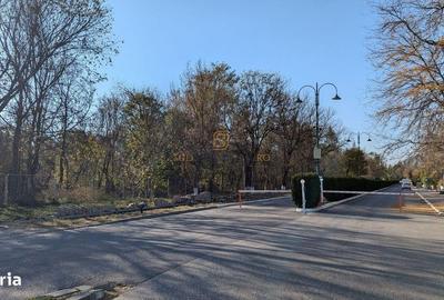 Teren de 19470 mp, în Adunații-Copăceni - 3