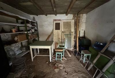 Casa si teren de vanzare in Tifesti - Sat Olesesti 30.000 Euro - 16