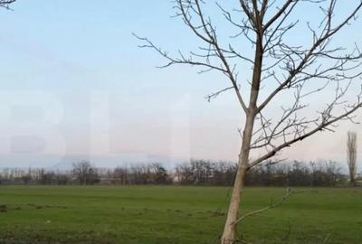 Teren de 594 mp, în Central - 3