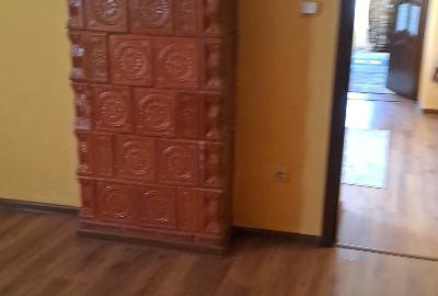 Vand casa cu gradina mare in Bethausen - 3