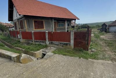 Casa de vanzare TEREN 3300mp cu toate utilitatiile - 2