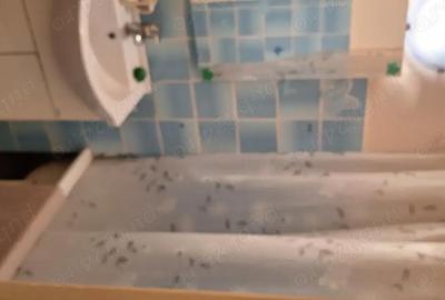 Apartament cu 3 camere nedecomandat în Rovinari - 2