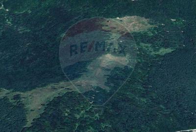 Teren agricol extravilan de 23000 mp, în Glăjărie - 2