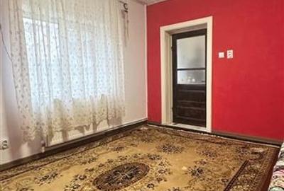 Casă individuală cu 4 camere cu Canalizare în Viile Noi - 17