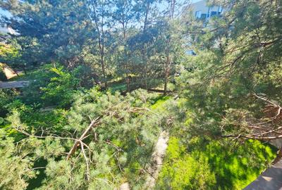 Duplex cu 9 camere cu Canalizare în Albert - 15