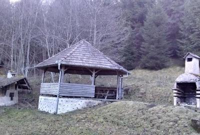 Casă cu 6 camere în Plaiul Foii - 8