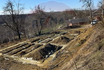 Teren Construcții intravilan de 1170 mp, în Cărbunari - 4