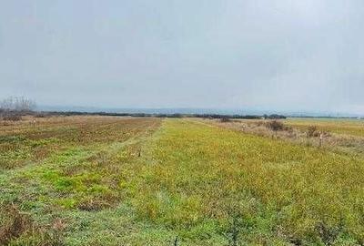 Spațiu comercial, în Central - 3