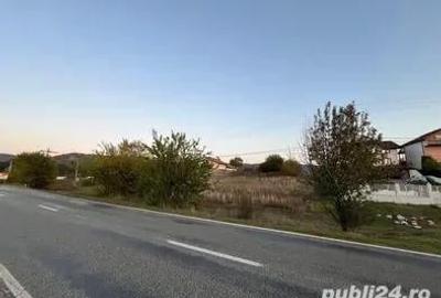 Teren de 1000 mp, în Hinova - 2