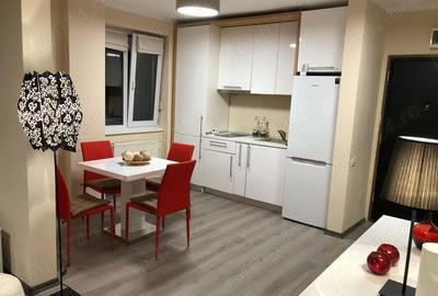 Proprietar, inchiriez apartament 2 camere ultracentral Timisoara, Repubilicii cu Piatra Craiului - 2