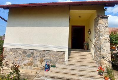 Casa 2 camere si curte de  500mp,spre inchiriere in Valea Aurie - 2