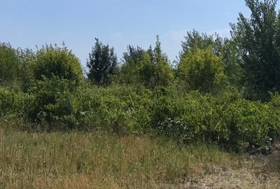 Teren extravilan 2.000 mp, CALARASI, LUPSANU - 1