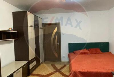 Apartament cu 1 camera de inchiriat in zona Brazda lui Novac - 3