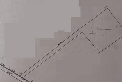 Varbilau - ter. intrav 1200mp, intab la 12 eu/mp - 1