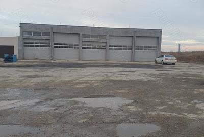 Inchiriez hala 560mp braila - 1