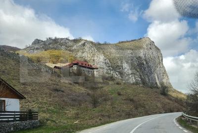 Casa individuala,65 mp,1150 mp teren,Valisoara - 11