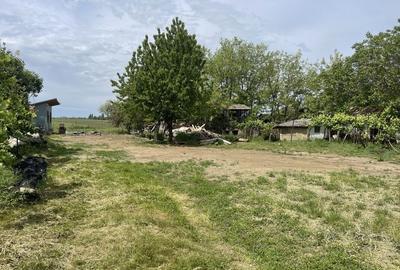 Teren Construcții intravilan de 3381 mp, în Dorobanți