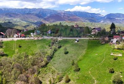 Teren de 5694 mp, în Moieciu - 6