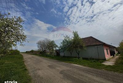 Casă cu 3 camere cu Teren 2175 Mp în Vinga - 19
