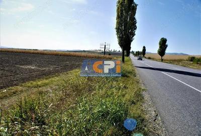 Teren iesire din Nicolae Balcescu, la 200ml de E85 Bacau - 3