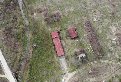 Spațiu comercial, de 230 mp, în Moldova Nouă - 9