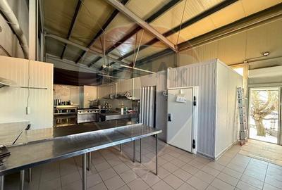 Oferta de inchiriat spa?iu industrial 110 mp, Bra?ov, ... - 4