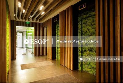 Spațiu comercial, de 5,900 mp, în Băneasa - 6