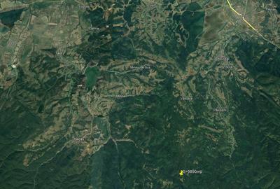 De vanzare teren extravilan - 10 ha - Chisindia, judetul Arad - 5