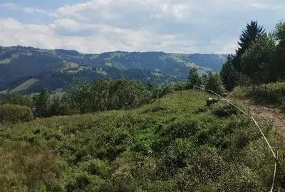Teren în Lunca - 3