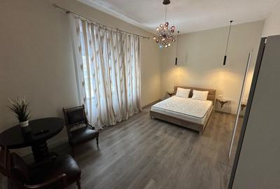 Casa Lipovei transformata in SAD - 31