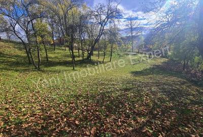 Teren de vanzare in comuna Arefu, jude? Arge?. - 9