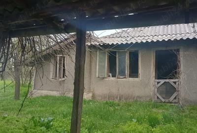 Casă cu 2 camere cu Teren 1400 Mp în Axintele - 9