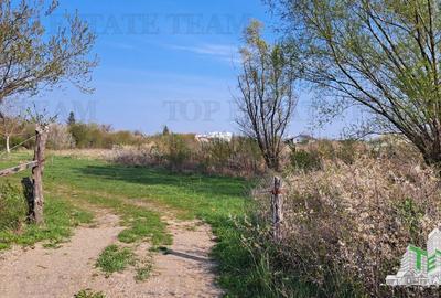 Teren Construcții intravilan de 1171 mp, în Palanca - 9