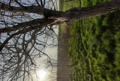 Casă cu 4 camere în Drăgănești-Vlașca - 1