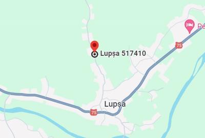 Casă cu 2 camere cu Teren 2267 Mp în Lupșa - 2