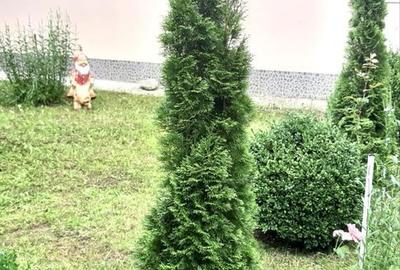 Casă cu 4 camere în Lepșa