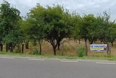 Teren 7150 mp de vanzare in Oesti Arges - 4