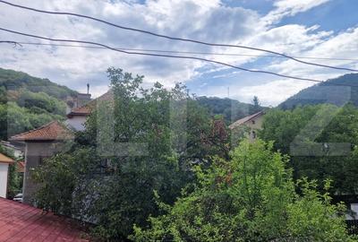 Apartament in casa, cu intrare si curte individuala, beci, pod, zona Mall Afi - 17