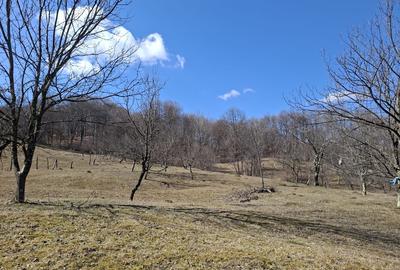 Teren agricol extravilan de 4800 mp, în Aluniș - 1