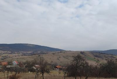 Teren Construcții extravilan de 2282 mp, în Fâșca - 3