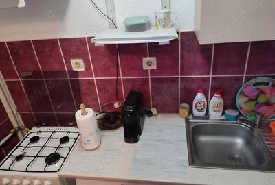 Garsoniera Tatarasi - Flora - 1