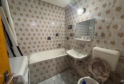 2 Camere Campia Libertatii Pet friendly - 15