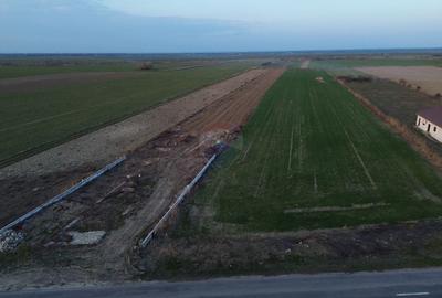 Teren Construcții intravilan de 12360 mp, în Boțârlău - 6