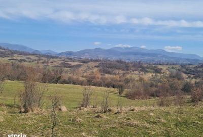 Teren de 2000 mp, în Central - 3