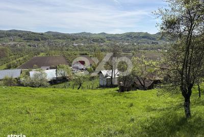 Spațiu comercial, în Bârseștii de Sus - 4